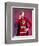 The Greatest American Hero-null-Framed Photo