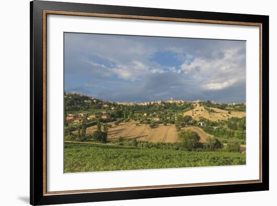 The green fields of countryside around the medieval hill town of Recanati, Marche, Italy-Roberto Moiola-Framed Photographic Print