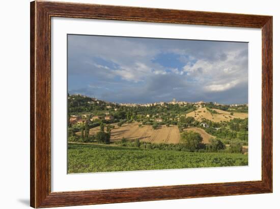 The green fields of countryside around the medieval hill town of Recanati, Marche, Italy-Roberto Moiola-Framed Photographic Print