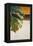 The Green Leaf II-Patricia Pinto-Framed Stretched Canvas