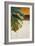 The Green Leaf II-Patricia Pinto-Framed Art Print