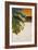 The Green Leaf II-Patricia Pinto-Framed Art Print