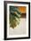 The Green Leaf II-Patricia Pinto-Framed Art Print