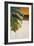 The Green Leaf II-Patricia Pinto-Framed Art Print