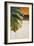 The Green Leaf II-Patricia Pinto-Framed Premium Giclee Print