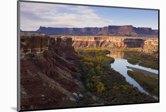 The Green River as Seen from the White Rim Trail in Canyonlands National Park, Utah-Sergio Ballivian-Mounted Photographic Print