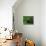 The Green Room, 2007-Aris Kalaizis-Mounted Giclee Print displayed on a wall