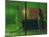 The Green Room, 2007-Aris Kalaizis-Mounted Giclee Print