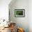 The Green Room, 2007-Aris Kalaizis-Framed Giclee Print displayed on a wall