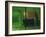 The Green Room, 2007-Aris Kalaizis-Framed Giclee Print