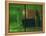 The Green Room, 2007-Aris Kalaizis-Framed Premier Image Canvas
