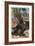 The Green Sea Turtle by Alfred Edmund Brehm-Stefano Bianchetti-Framed Giclee Print