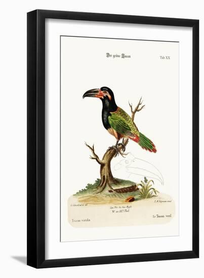 The Green Toucan, 1749-73-George Edwards-Framed Giclee Print