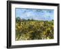 The Green Vineyard-Vincent van Gogh-Framed Art Print