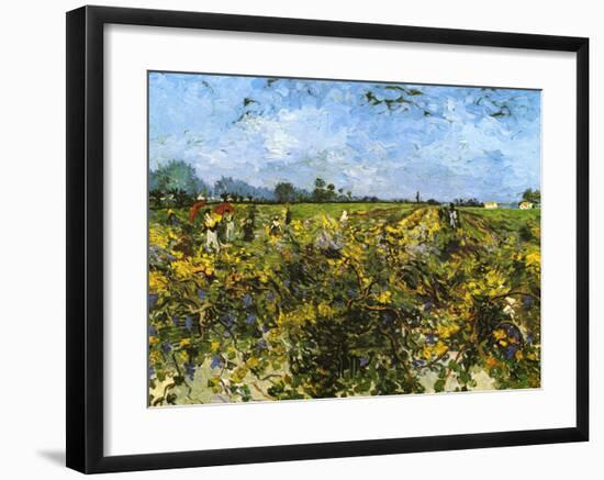 The Green Vineyard-Vincent van Gogh-Framed Art Print