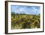The Green Vineyard-Vincent van Gogh-Framed Art Print