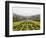 The Greenery of the Parque Eduard VII Runs Towards the Marques De Pombal Memorial in Central Lisbon-Stuart Forster-Framed Photographic Print