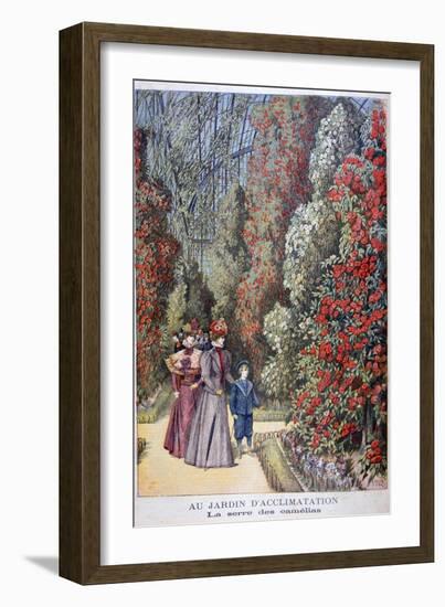 The Greenhouse of the Camellias, Zoological Gardens, Paris, 1897-Henri Meyer-Framed Giclee Print