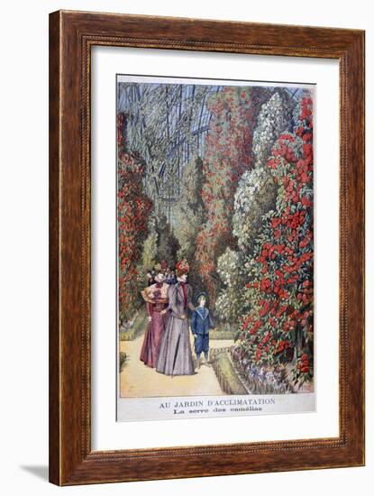 The Greenhouse of the Camellias, Zoological Gardens, Paris, 1897-Henri Meyer-Framed Giclee Print