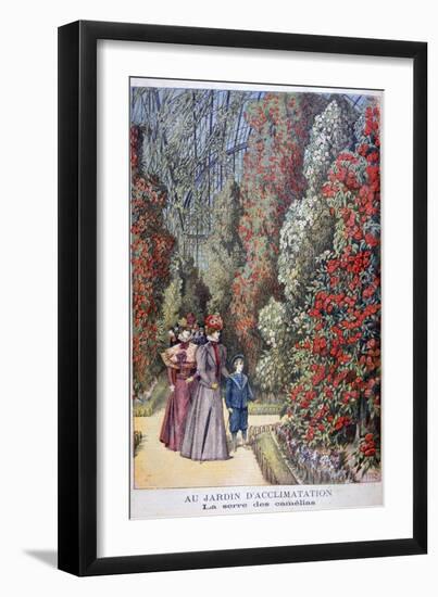 The Greenhouse of the Camellias, Zoological Gardens, Paris, 1897-Henri Meyer-Framed Giclee Print