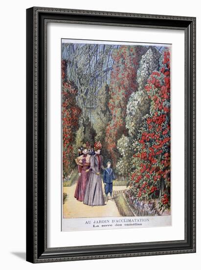 The Greenhouse of the Camellias, Zoological Gardens, Paris, 1897-Henri Meyer-Framed Giclee Print