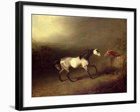 The Grey Arab-Sawrey Gilpin-Framed Giclee Print