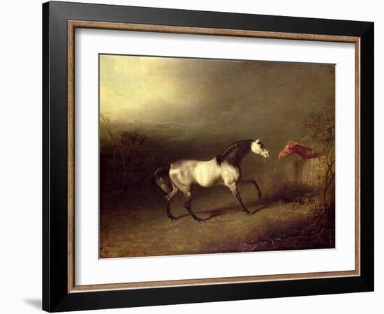 The Grey Arab-Sawrey Gilpin-Framed Giclee Print