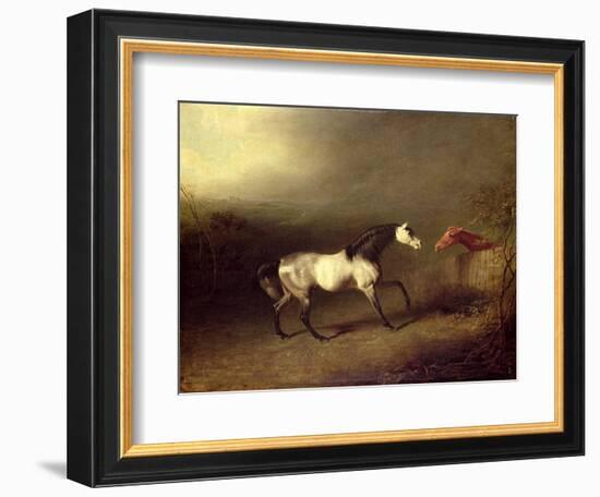 The Grey Arab-Sawrey Gilpin-Framed Giclee Print