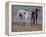 The Greyhounds of the Comte De Choiseul, 1866-Gustave Courbet-Framed Premier Image Canvas