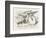 The Griffin Asleep-John Tenniel-Framed Photographic Print