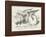 The Griffin Asleep-John Tenniel-Framed Photographic Print