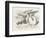 The Griffin Asleep-John Tenniel-Framed Photographic Print