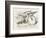 The Griffin Asleep-John Tenniel-Framed Photographic Print