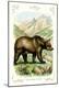 Premium Giclee Print