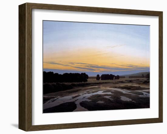 The Grosse Gehege Near Dresden, 1832-Caspar David Friedrich-Framed Giclee Print