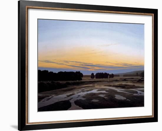 The Grosse Gehege Near Dresden, 1832-Caspar David Friedrich-Framed Giclee Print