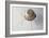 The Ground Beetle, 1995-Lawrie Simonson-Framed Giclee Print