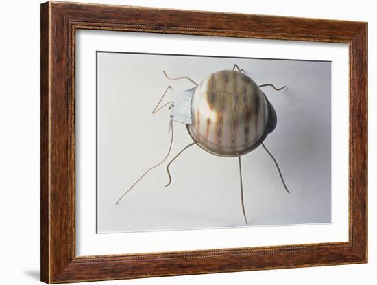 The Ground Beetle, 1995-Lawrie Simonson-Framed Giclee Print