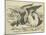 The Gryphon, Lewis Carroll-John Tenniel-Mounted Giclee Print