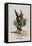 The Gryphon-John Tenniel-Framed Premier Image Canvas