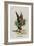 The Gryphon-John Tenniel-Framed Giclee Print