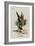 The Gryphon-John Tenniel-Framed Giclee Print