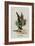 The Gryphon-John Tenniel-Framed Giclee Print