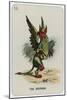 The Gryphon-John Tenniel-Mounted Giclee Print