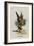 The Gryphon-John Tenniel-Framed Giclee Print