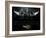 The Guardian-Jason Bullard-Framed Giclee Print