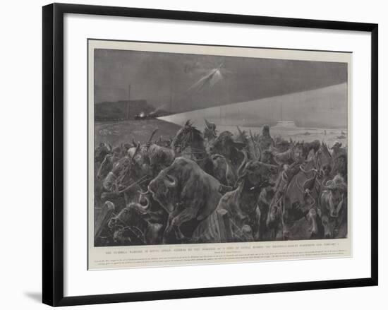 The Guerilla Warfare in South Africa-Richard Caton Woodville II-Framed Giclee Print