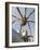 The Guggenheim, Designed by Architect Frank Gehry, and Giant Spider Sculpture by Louise Bourgeois-Christian Kober-Framed Photographic Print