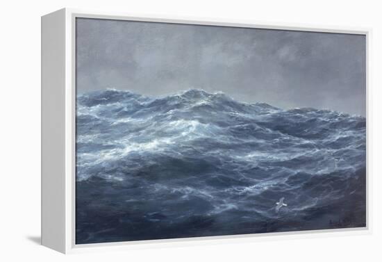 The Gull's Way-Richard Willis-Framed Premier Image Canvas