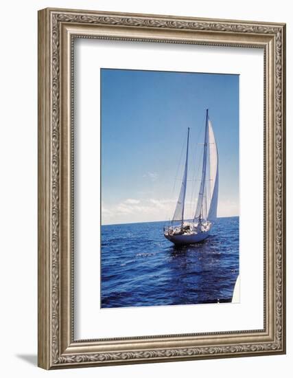 The Gypsy Moth IV-null-Framed Photographic Print